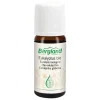 Bergland Bio Eukalyptus-Öl, 10 ml- Aromatische Düfte|Körperöle