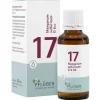 Pflüger Salze Als Tropfen|Salze 13-24-Biochemie 17 Manganum sulfuricum D 6 Tropfen, 30 ml