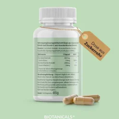 Biotanicals Eisen + Kapseln, 120 St- Hirnleistung & Nerven