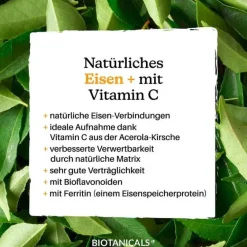 Biotanicals Eisen + Kapseln, 120 St- Hirnleistung & Nerven