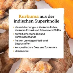 Biotanicals Kurkuma Kapseln, 120 St- Kurkuma Kapseln