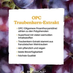 OPC Traubenkernextrakt Kapseln, 150 St^Biotanicals Best