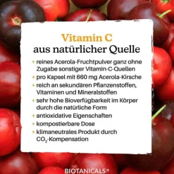 Vitamin C Kapseln, 120 St^Biotanicals Outlet