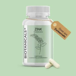 Biotanicals Zink-Zink Kapseln, 120 St