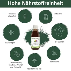 Bitterkraft Verdauung|Sonstige Bio Produkte-Original flüssig, 200 ml
