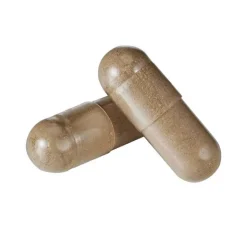 Nerven Formel vegan Kapseln, 60 St^Bjökovit Best