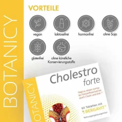 Feelgood Cholesterin-Botanicy Cholestro forte mit Bergavit Tabletten, 60 St