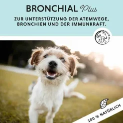 Bronchial Plus Atemwegsmischung Saft für Hunde, 100 ml^Annimally Outlet