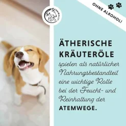 Bronchial Plus Atemwegsmischung Saft für Hunde, 100 ml^Annimally Outlet