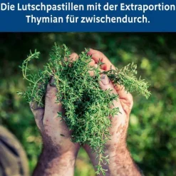 Thymian Pastille, 30 St^Bronchipret Sale