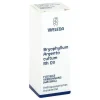 Weleda Bryophyllum Argento Cultum Rh D 3 Dilution, 20 ml- Schlaf & Nerven