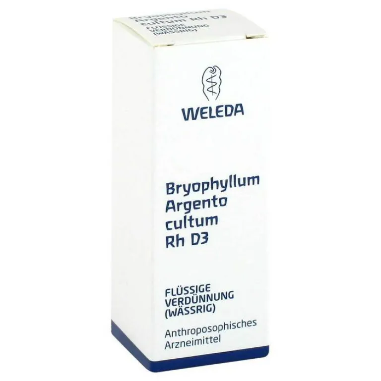 Weleda Bryophyllum Argento Cultum Rh D 3 Dilution, 20 ml- Schlaf & Nerven