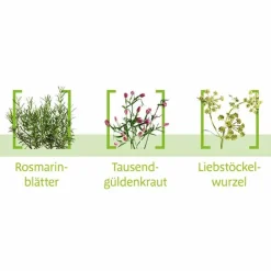 Canephron N Blasenentzündung Medikamente-Dragees, 200 St