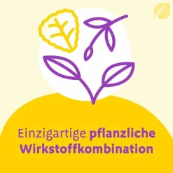 Canephron Blasenentzündung Medikamente-Uno überzogene Tabletten, 90 St