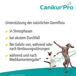 Canikur Magen & Darm|Magen & Darm-Pro vet. Paste, 30 ml