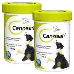Canosan Konzentrat, 2x1300 g- Bewegungsapparat