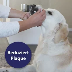 Zahnpflege Finger-Pads für Hunde, 50 St^Canosept New