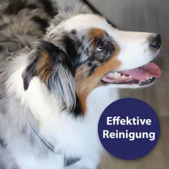 Zahnpflegespray für Hunde, 100 ml^Canosept Hot