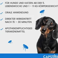 Capstar Flöhe, Zecken & Co.|Flöhe, Zecken & Co.-™ 11,4 mg Tabletten für Katzen und kleine Hunde, 6 St