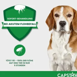 ™ 57 mg Tabletten für große Hunde, 6 St^Capstar Online