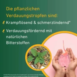 Carvomin Verdauung-Verdauungstropfen, 50 ml