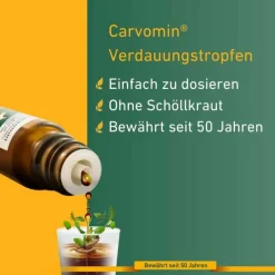 Carvomin Verdauungstropfen, 20 ml- Verdauung