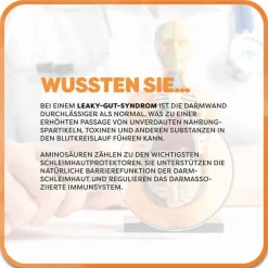 Casa Sana Aminosäuren|Verdauung-Maxiamin Kapseln, 160 St