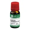 Arcana C-D|C-causticum LM 6 Dilution, 10 ml