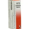 Dr. Reckeweg-causticum Gastreu R 73 Tropfen zum Einnehmen, 22 ml