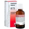 Dr. Reckeweg-causticum Gastreu R 73 Tropfen zum Einnehmen, 50 ml