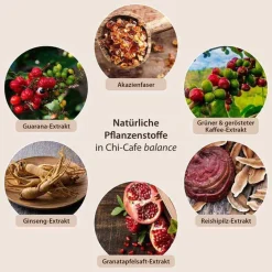 Chi Cafe balance Pulver, 450 g^Dr. Jacobs Best