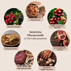 Dr. Jacobs Genüssliches-Chi Cafe proactive Pulver, 180 g