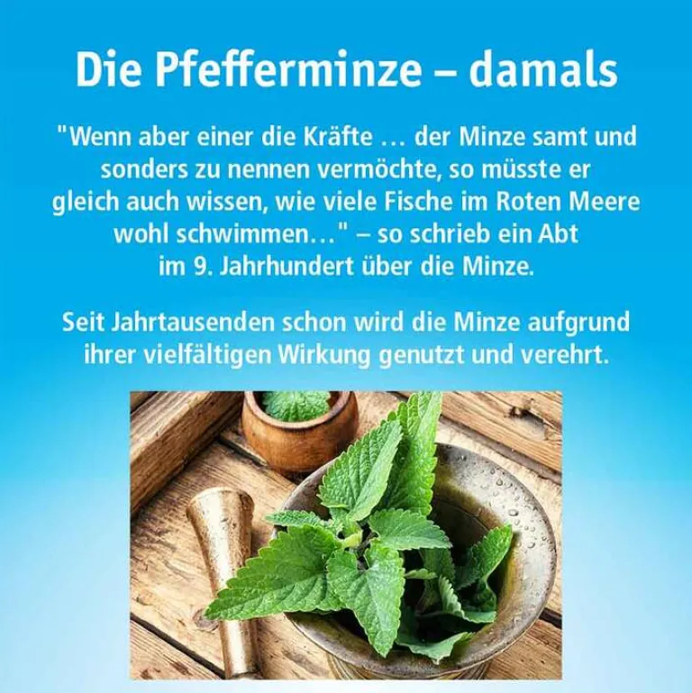 China Öl Hals- und Hustenbonbons ohne Zucker, 40 g- Husten & Halsbonbons