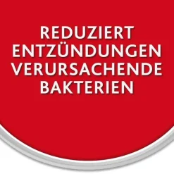 Chlorhexamed Zahnfleischentzündung Medikamente|Prophylaxe-FORTE alkoholfrei 0,2 % Mundspülung, antibakteriell, 600 ml
