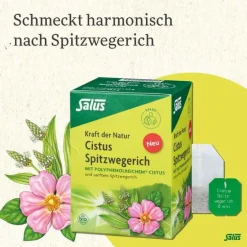 Salus Kräutertee-Cistus Spitzwegerich Tee Bio Filterbeutel, 15 St