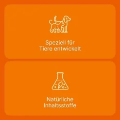 Heel Biologische Heilmittel Heel Gmbh-Coenzyme compositum® ad us. vet. Ampullen (2,2 ml), 10 St