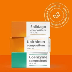 Heel Biologische Heilmittel Heel Gmbh-Coenzyme compositum® ad us. vet. Ampullen (2,2 ml), 10 St