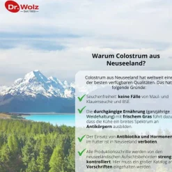 Dr. Wolz Colostrum Immun Kaps, 125 St- Immunsystem|Colostrum