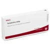Conjunctiva comp. Ampullen, 10X1 ml- Auge & Ohr