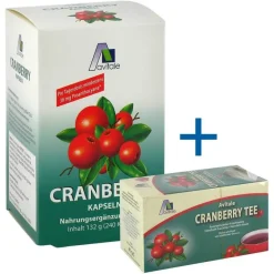 Cranberry Kapseln 400 mg, 240 St^Avitale Online