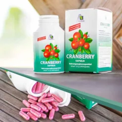 Cranberry Kapseln 400 mg, 240 St^Avitale Online