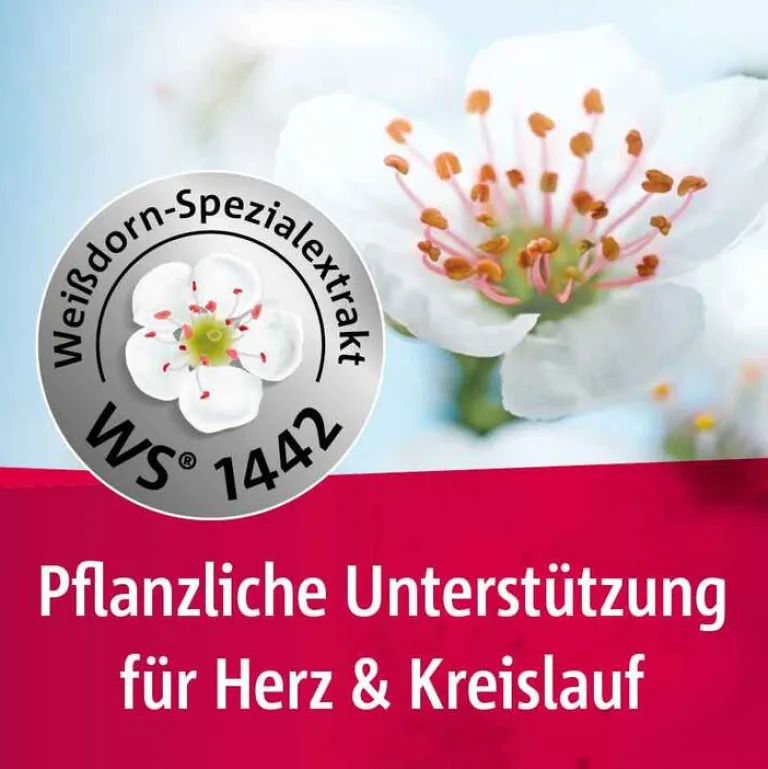 Crataegutt Stärkungsmittel-® 450 mg Herz-Kreislauf-Tabletten, 2x200 St