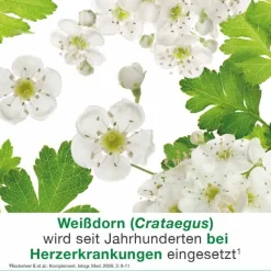 cratae-Loges 450 mg Weißdorn Filmtabletten, 100 St^Dr. Loges New