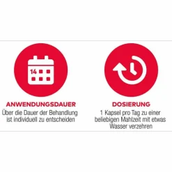 Aliud Pharma D3 + K2 Vit AL 2000 I.E. / 80 µg Kapseln, 90 St- Vitamin K|Vitamin D (Colecalciferol)