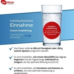 Darm Activ Pulver, 400 g^Dr. Wolz