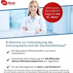 Dr. Wolz Bakterienkulturen-Darmflora plus select complex magensaftresistent Kapseln, 80 St