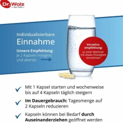 Dr. Wolz Bakterienkulturen-Darmflora plus select complex magensaftresistent Kapseln, 80 St