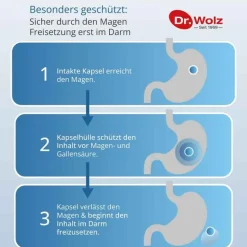 Dr. Wolz Darmflora plus select Kapseln, 20 St- Bakterienkulturen