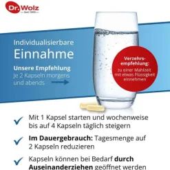 Dr. Wolz Bakterienkulturen-Darmflora plus select Kapseln, 40 St