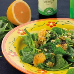 Dr. Jacobs Omega 3 Kapseln|Hirnleistung & Nerven-DHA + EPA vegan Tocoprotect Dr. Jacob`s flüssig, 250 ml